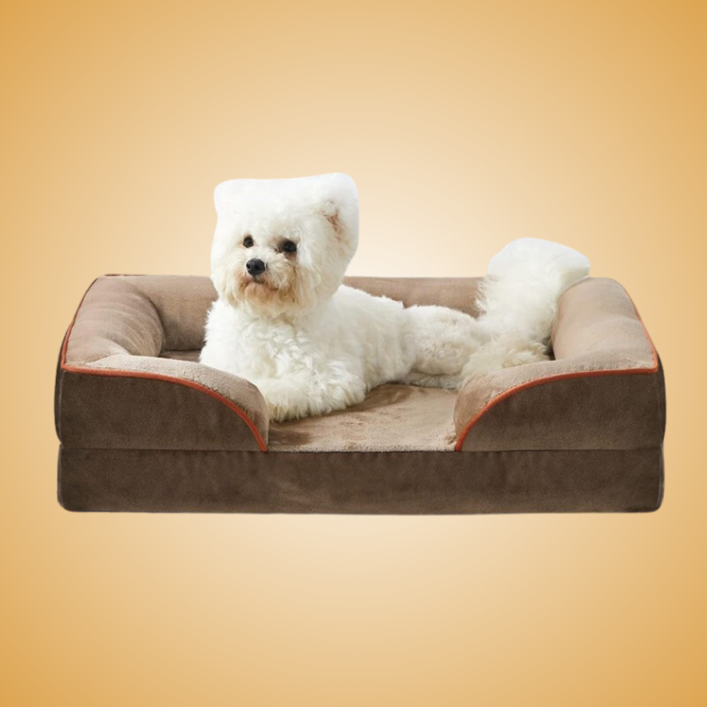 Orthopedic Dog Bed