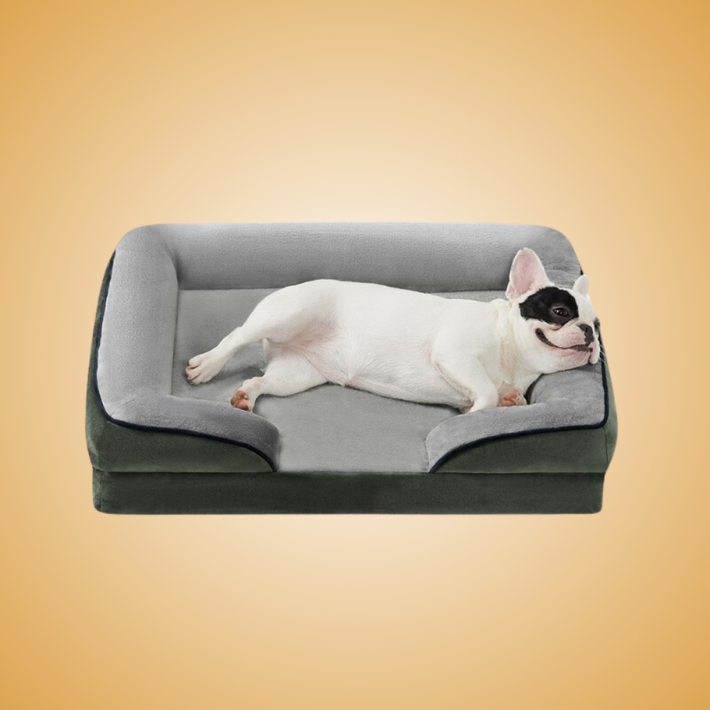Orthopedic Dog Bed