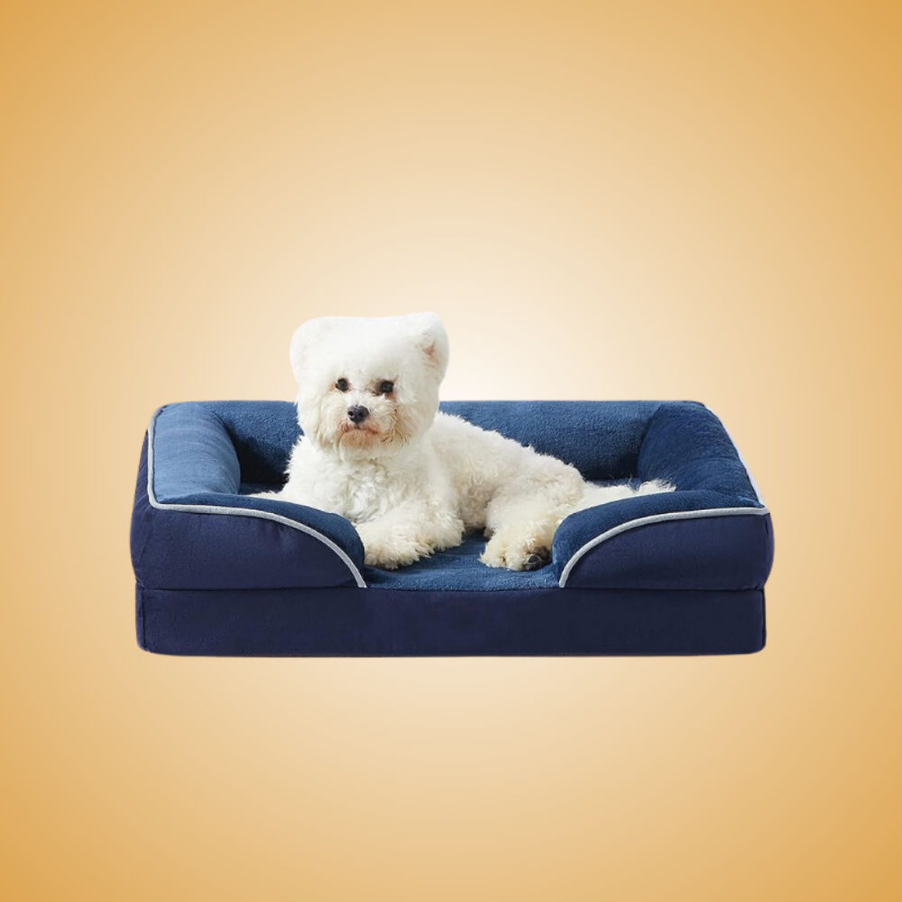 Orthopedic Dog Bed
