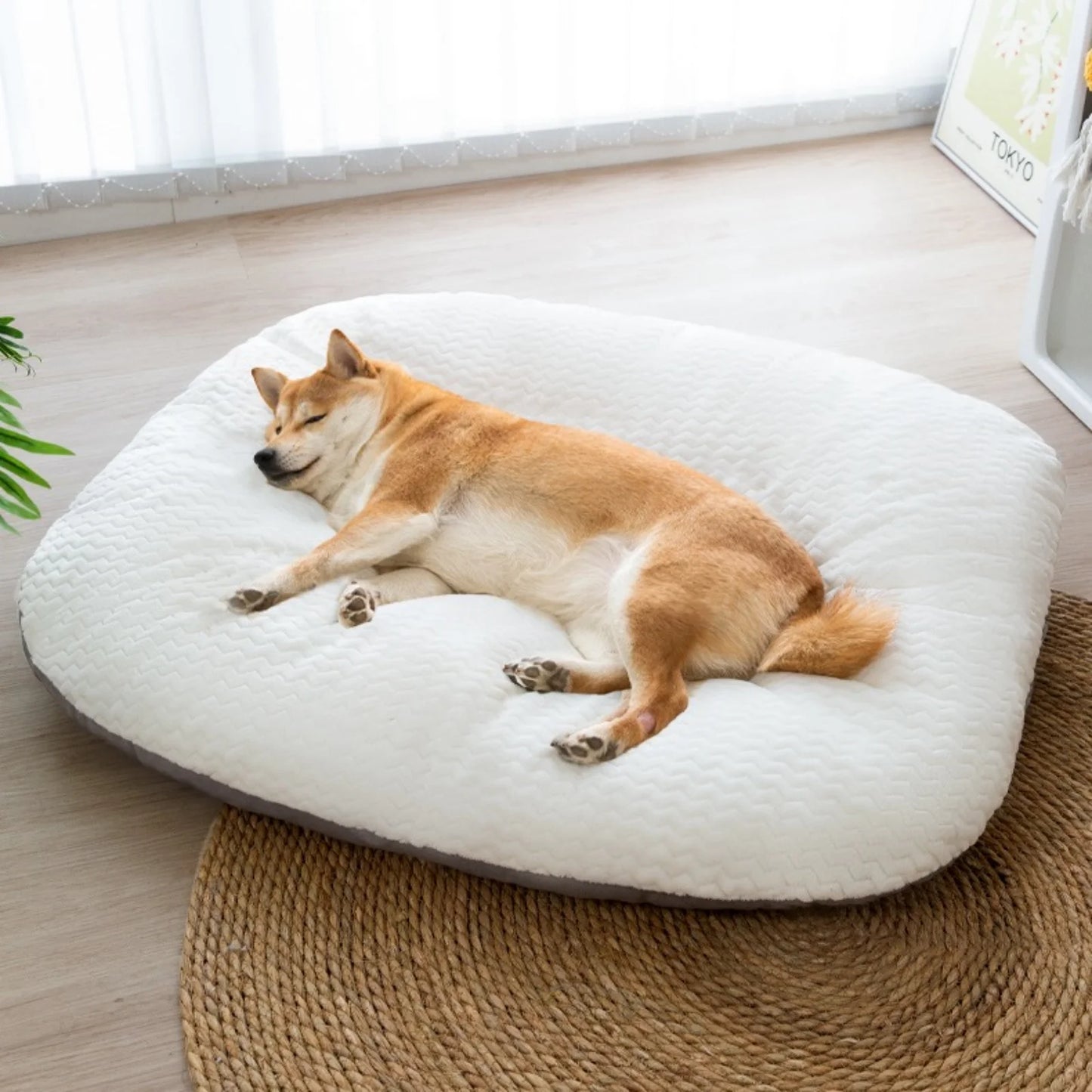 Large Dog Sofa