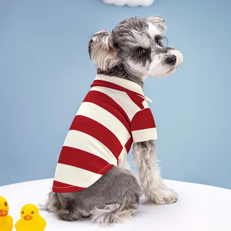 Pet Dog Polo Shirt