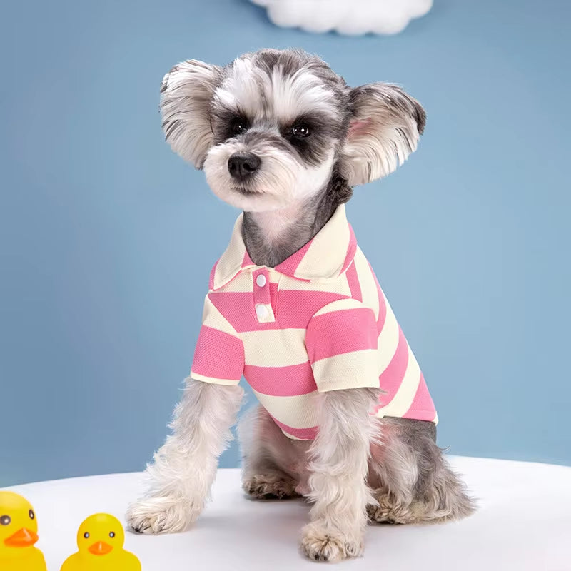 Pet Dog Polo Shirt