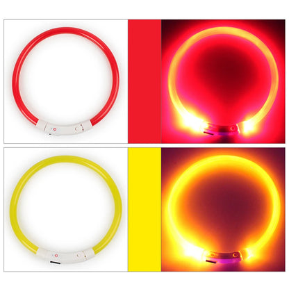 Glow Dog Collars 