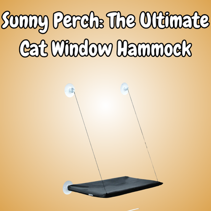 Cat Window Hammock Bed