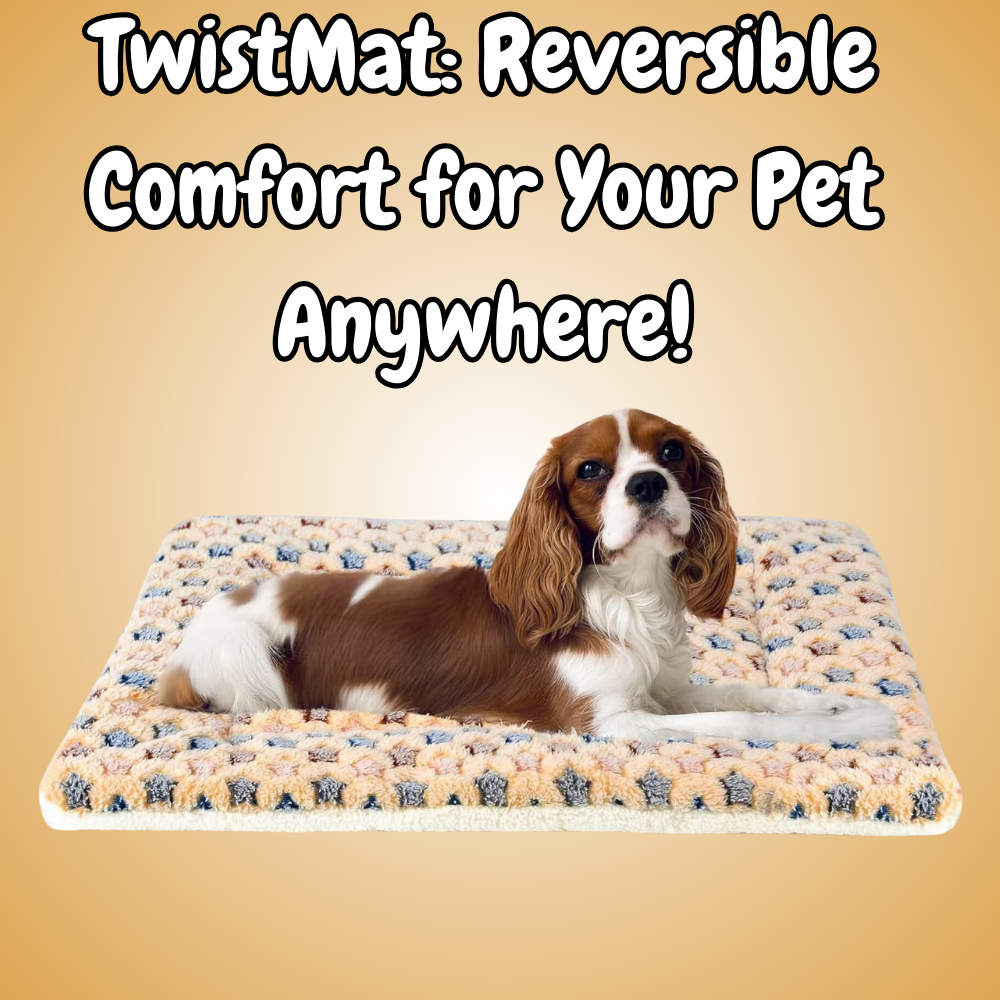 Reversible Pet mat