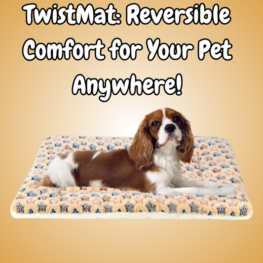 Reversible Pet mat