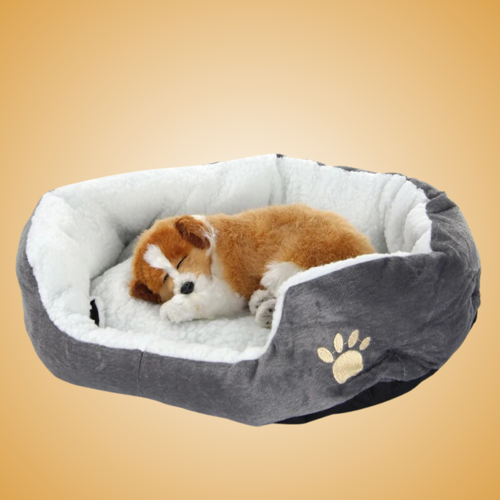 Simple Dog Bed