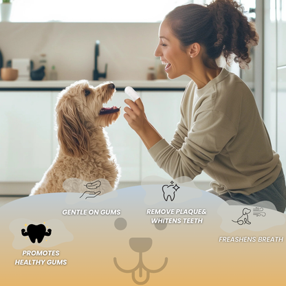 Vet-Approved Dental Wipes for Dogs – Easy Teeth Cleaning & Fresh Breath