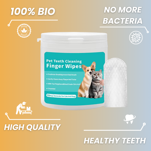 Vet-Approved Dental Wipes for Dogs, front pocket