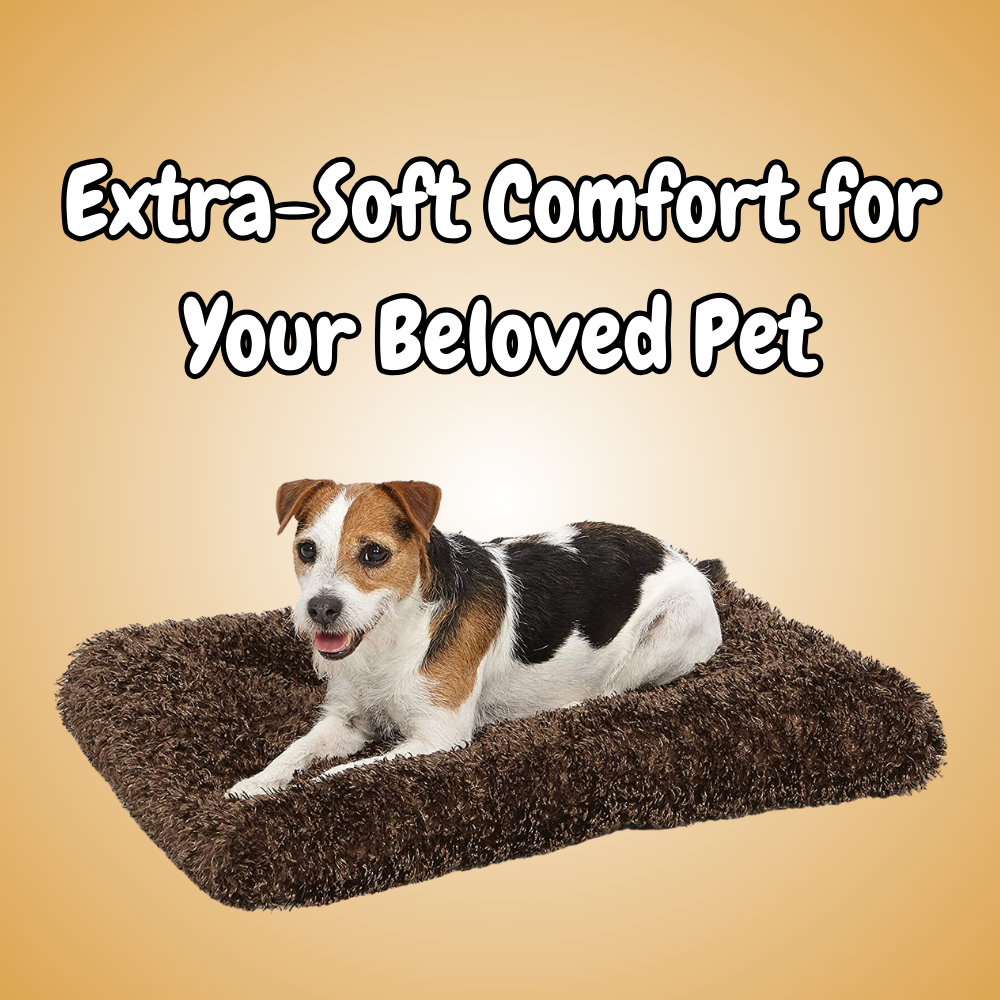 Dog Beds