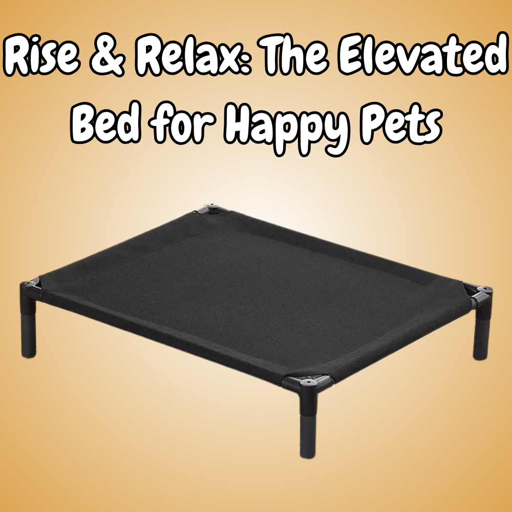 Elevated Pet Bed