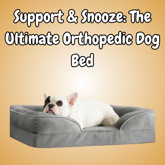 Orthopedic Dog Bed