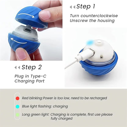 Smart Dog Toy Ball 