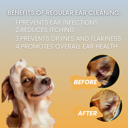 Best Dog Ear Wipes for Itchy Ears – Removes Dirt & Prevents Odor