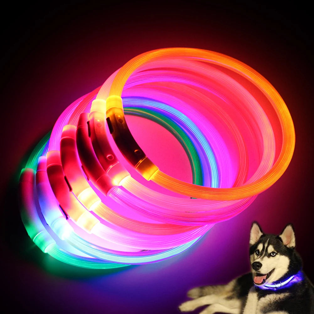 Glow Dog Collars 