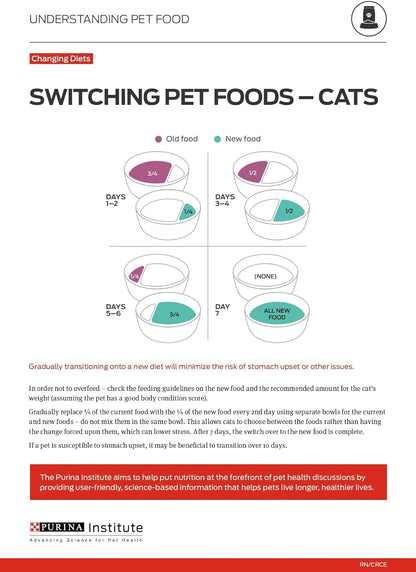  Indoor Dry Cat Food